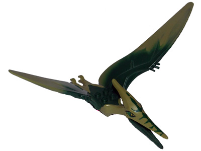 Ptera03