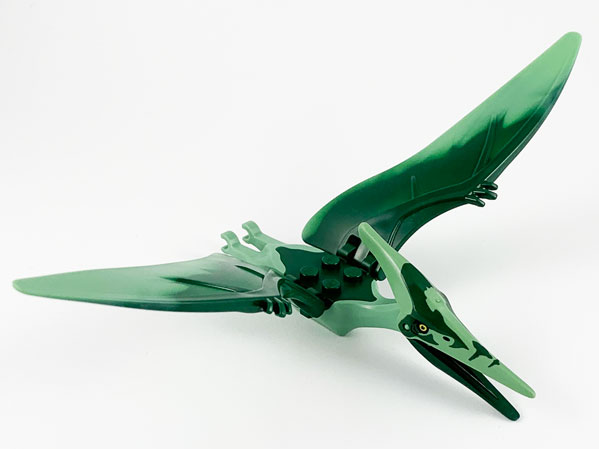 Ptera06