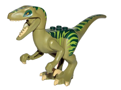 Raptor02