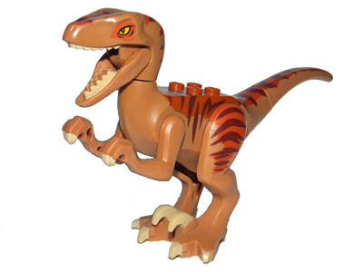 Raptor03